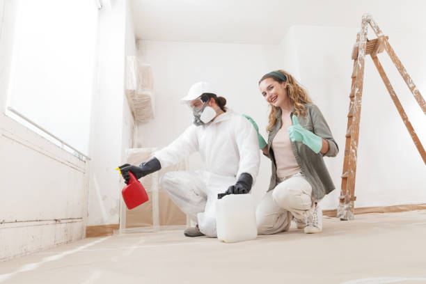 Best Mold Removal for HVAC Installations  in Southfield, MI